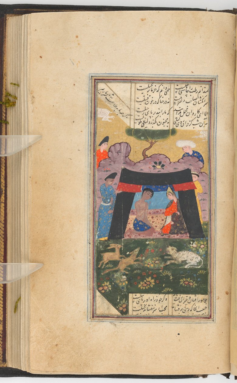 Layla a Majnun ve stanu (obraz recto; text verso folia 205), malba z rukopisu Kulliyat of Sa