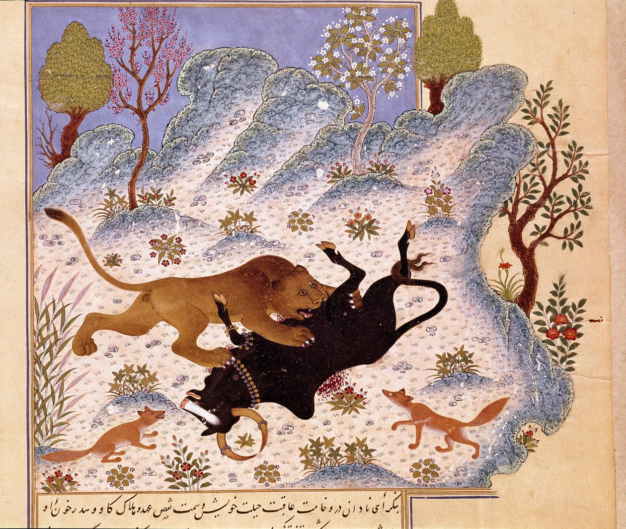 Lev útočí na býka Page of a Kalila a Dimna od Persian School
