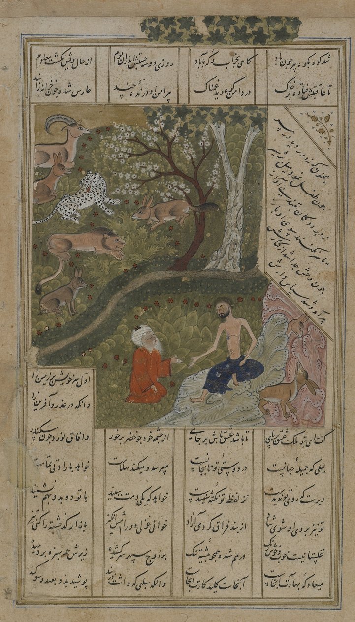 Majnun navštívil v divočině Shaykh Salim, folio z Layly u-Majnun od Nizami († 1209) 1475-1500 (neprůhledný akvarel, inkoust a zlato na papíře) od Persian School
