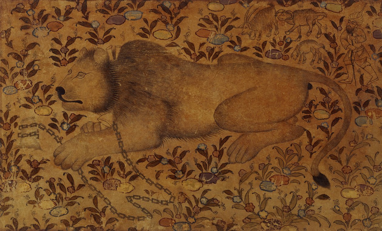 Studie lva, 16. století od Persian School