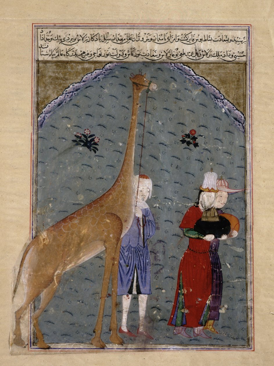 Velvyslanci egyptského sultána al-Nasira Faradž ibn Barquq předkládají své dary úcty, včetně žirafy, Timurovi, ilustrace ze Zafarnamy Sharaf al-Din Ali Yazdishiraz, 1436 (inkoust, od Persian School