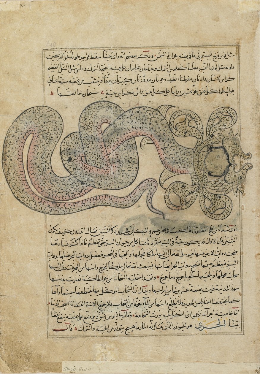 Sea-SerpentDragon (al-Tannin), folio z Ajaib al-makhluqat (Zázraky stvoření) od al-Qazvini, Irák nebo východní Turecko (neprůhledný akvarel, inkoust, zlato a stříbro na papíře) od Persian School