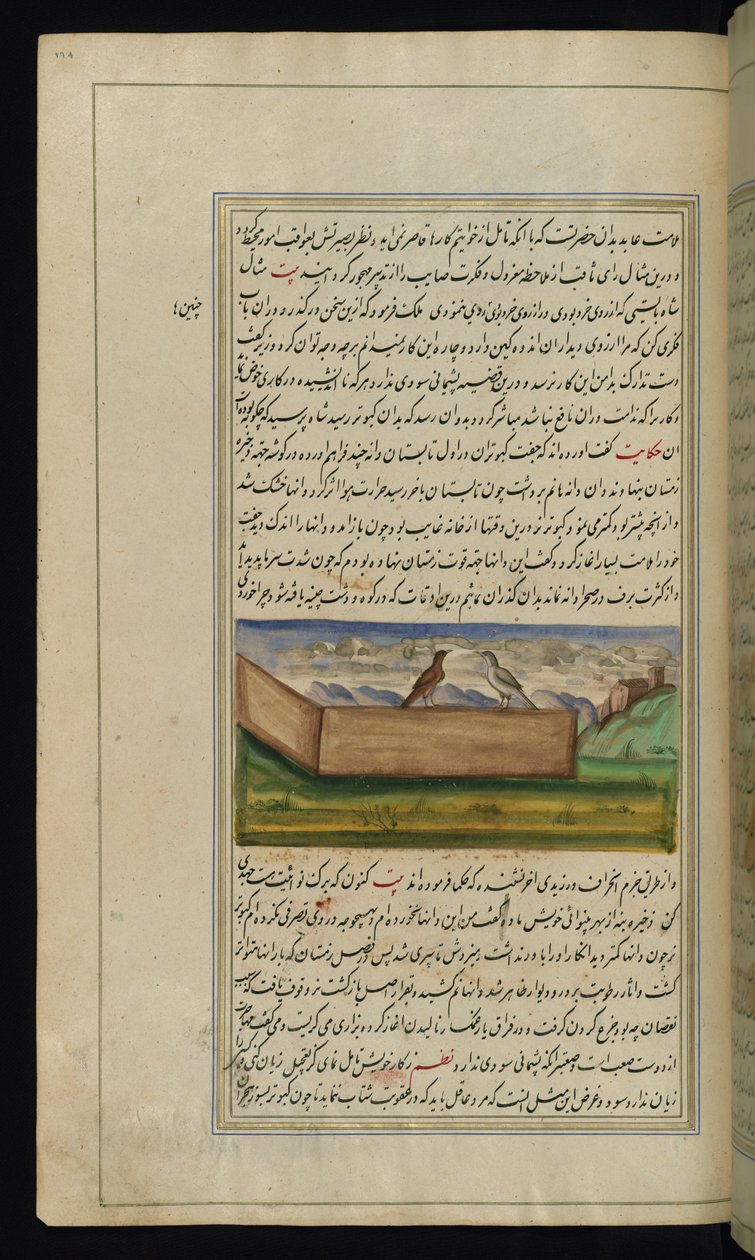 Dva holubi a zásoba obilí z Lights of Canopus od Persian School