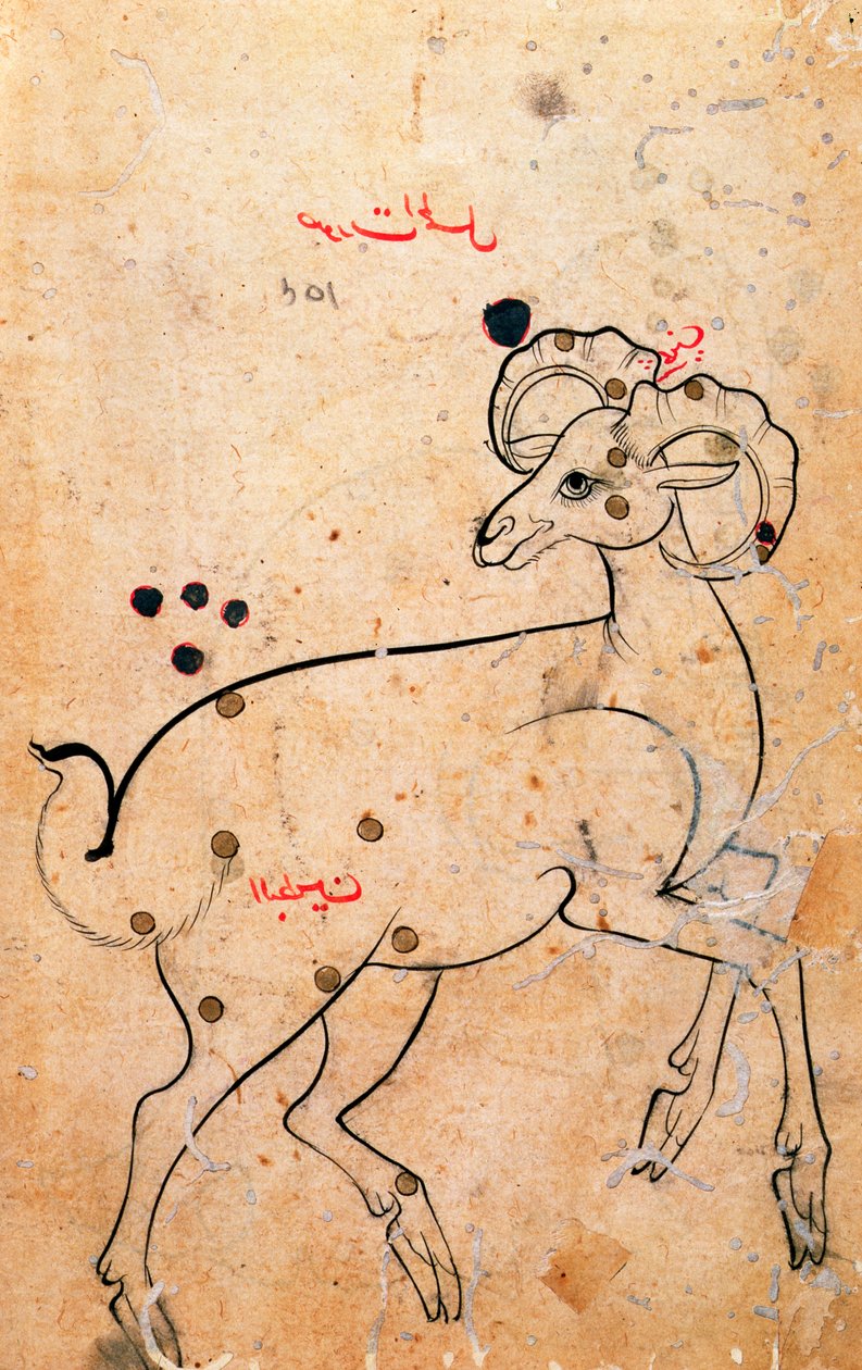 f.154a Beran, Beran, Peršan, z Isfahánu nebo Shirazu, kolem 1600 (inkoust na papíře) od Persian School