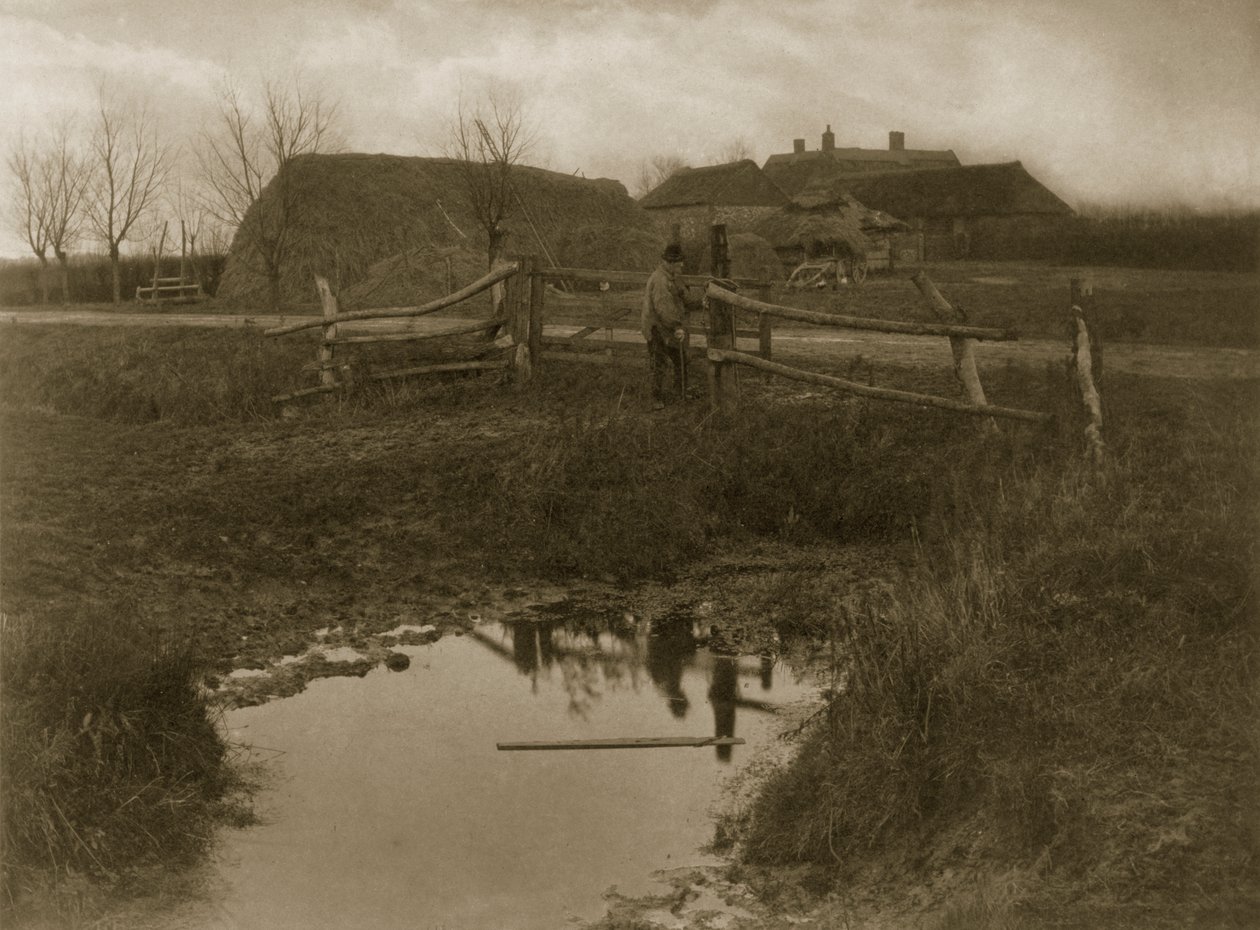 A Marsh Farm, c.1886 (fotografie) od Peter Emerson und Thomas Goodall