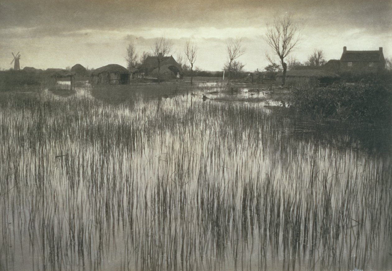 Rushy Shore, Life and Landscape on Norfolk Broads, c.1886 od Peter Emerson und Thomas Goodall