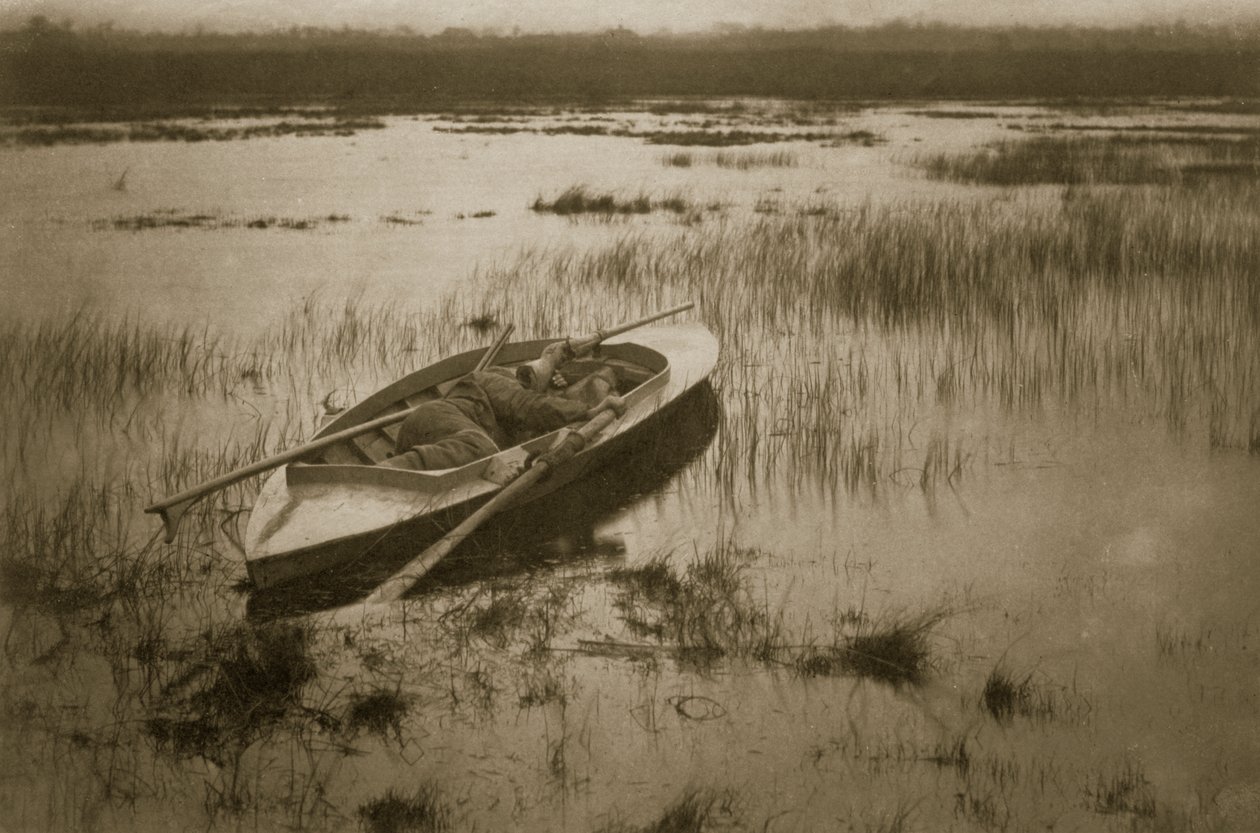 Gunner Waking up the Fowl, Život a krajina na Norfolk Broads, kolem roku 1886 od Peter Emerson und Thomas Goodall