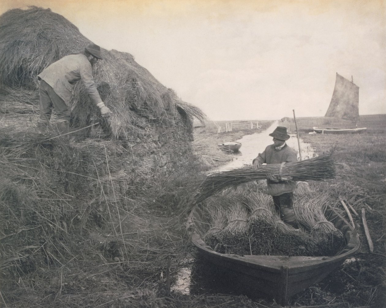 Ricking the Reed, Život a krajina na Norfolk Broads, cca 1886 od Peter Emerson und Thomas Goodall