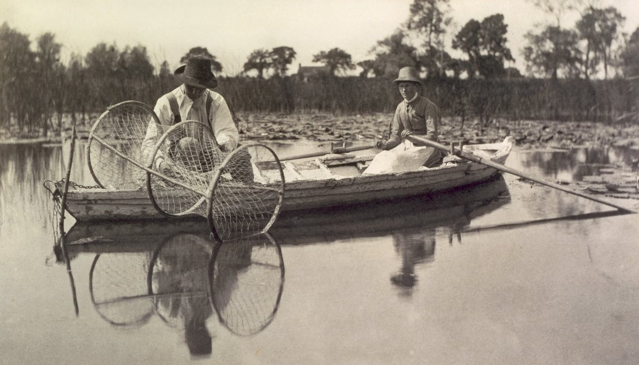Nastavení sítě Bow Net, Life and Landscape na Norfolk Broads; kolem roku 1886 od Peter Emerson und Thomas Goodall