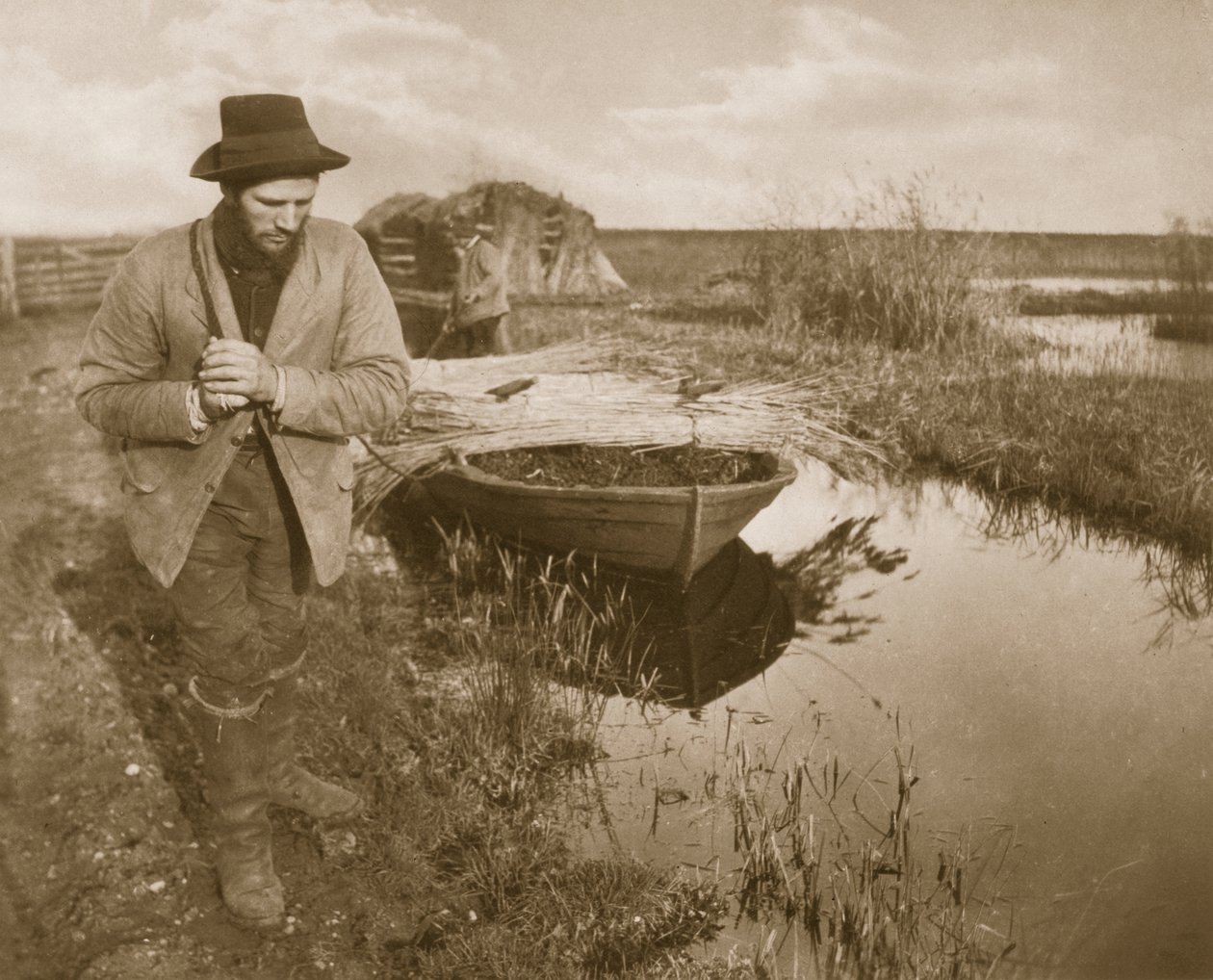 Tažení rákosu, život a krajina na Norfolk Broads, c.1886 od Peter Emerson und Thomas Goodall