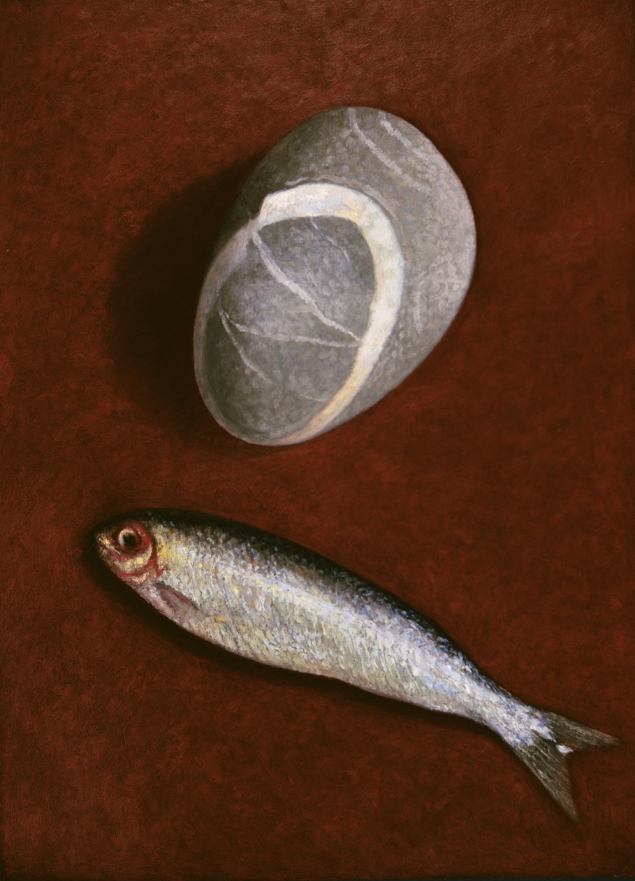 Fish and Rock Form, 1997 od Peter Davidson