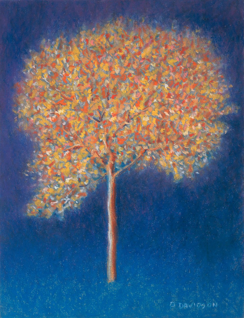 Strom v květu, 1997 od Peter Davidson