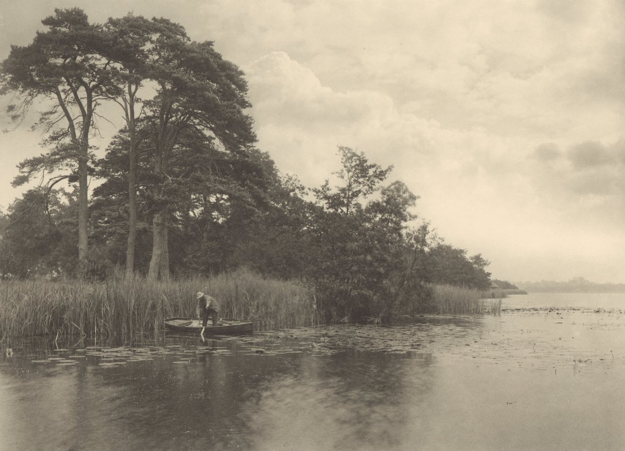 The Haunt of the Pike od Peter Henry Emerson
