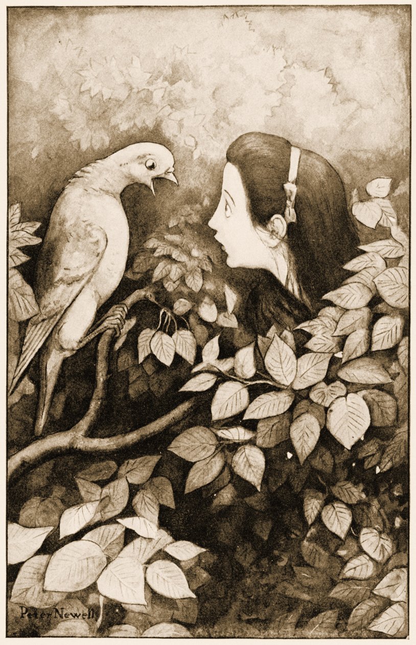 „Had!“ křičel holub“, ilustrace k Alence Dobrodružství v říši divů Lewise Carrolla, 1901 od Peter Newell