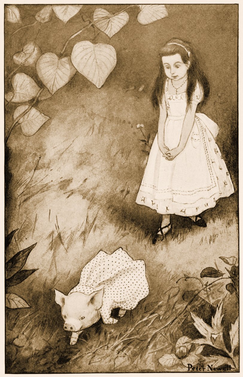 „Tak ona položila to malé stvoření na zem“, ilustrace pro Lewise Carrolla Alenka v říši divů, 1901 od Peter Newell