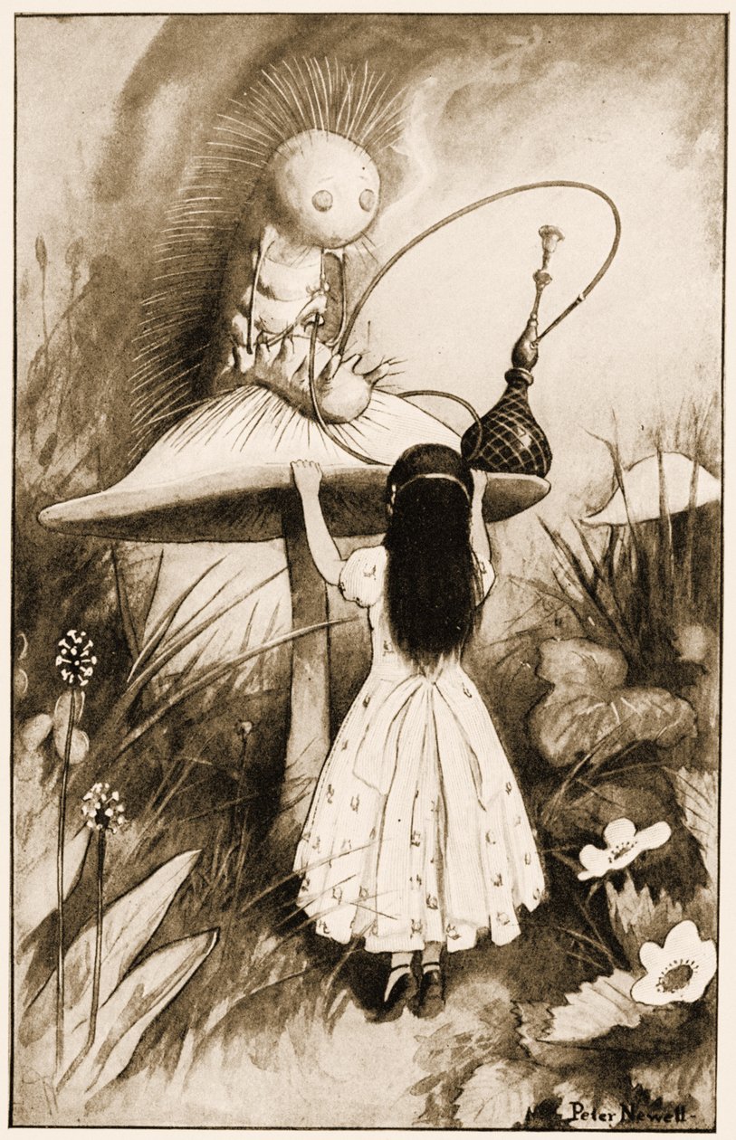 Housenka a Alenka se na sebe podívali, ilustrace k filmu Lewise Carrolse Alenčina dobrodružství v říši divů, 1901 od Peter Newell