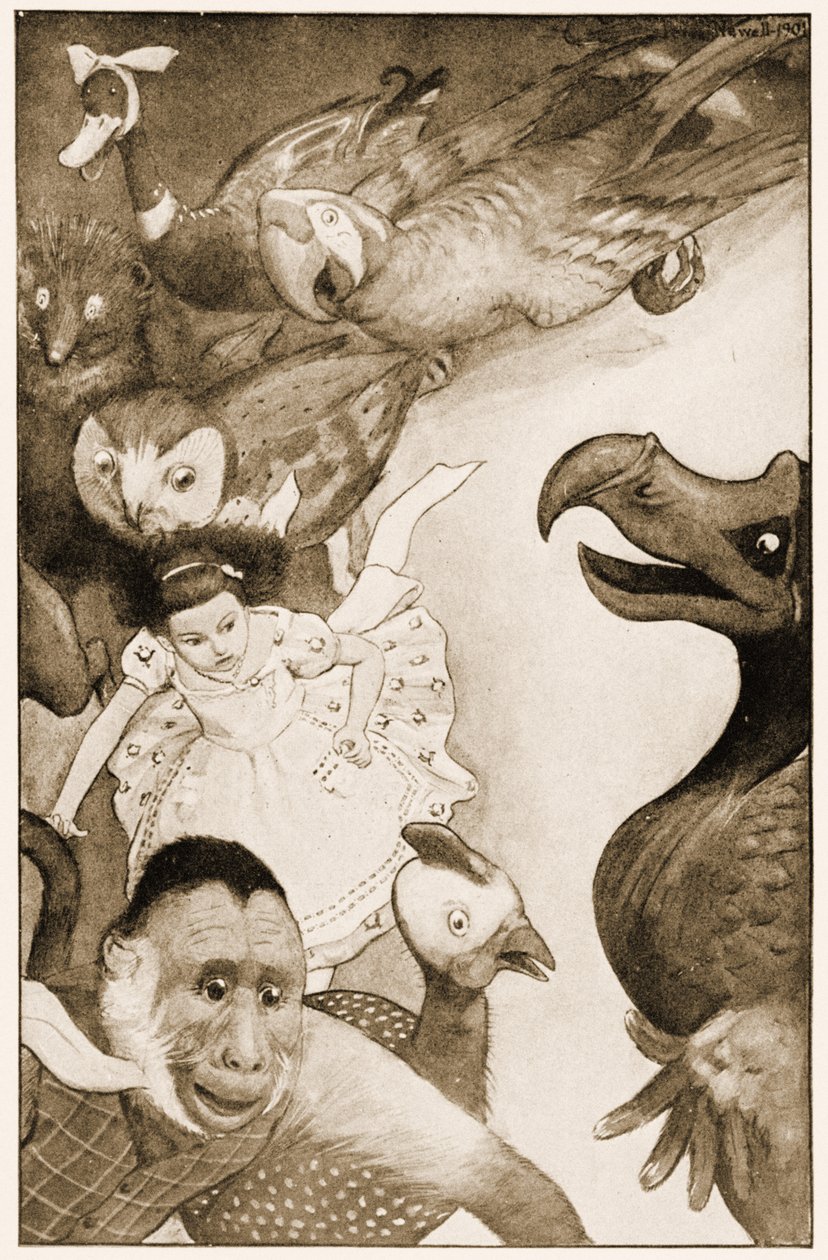 "The Caucus-Race", ilustrace pro Lewise Carrolla Alenka v říši divů, 1901 od Peter Newell