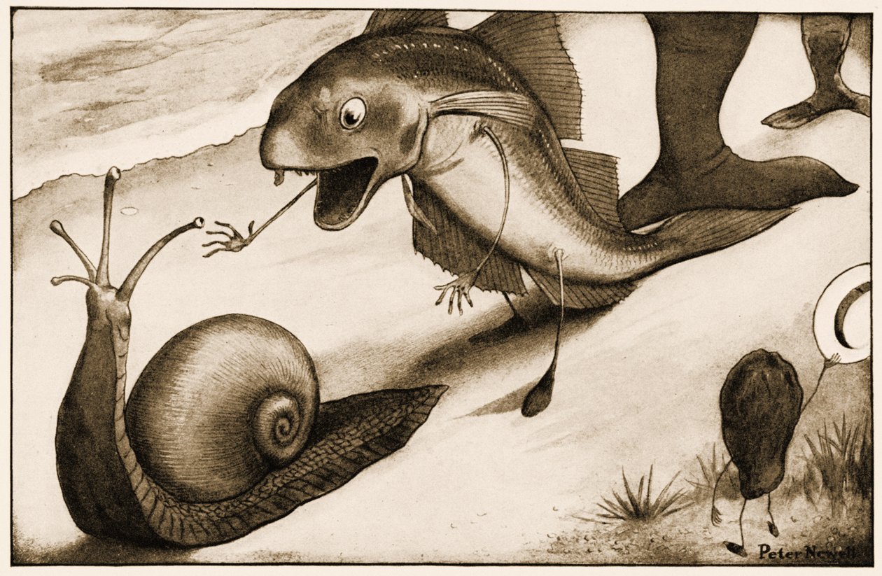 „Půjdeš trochu rychleji?“ řekl Whiting hlemýžďovi, ilustrace k Alence v říši divů Lewise Carrolla, 1901 od Peter Newell