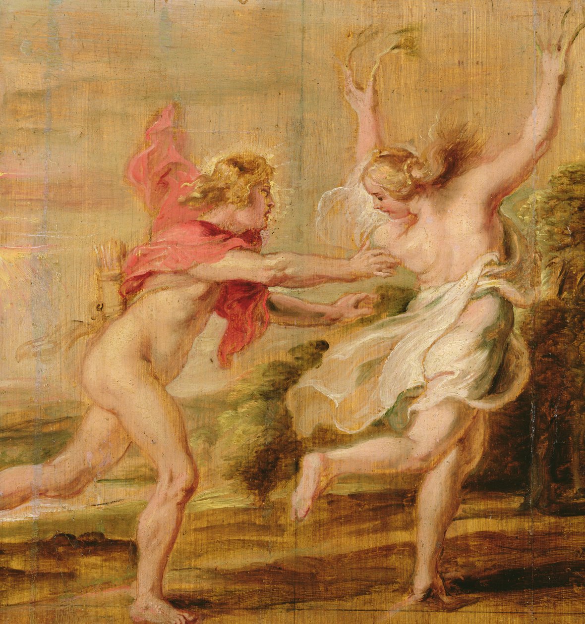 Apollo a Daphne, kolem 1636 od Peter Paul Rubens