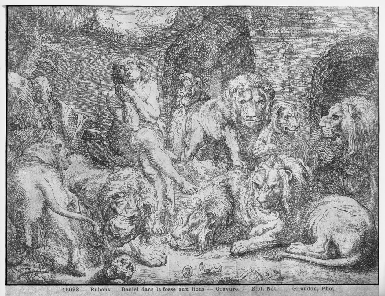 Daniel v jámě lvové od Peter Paul Rubens