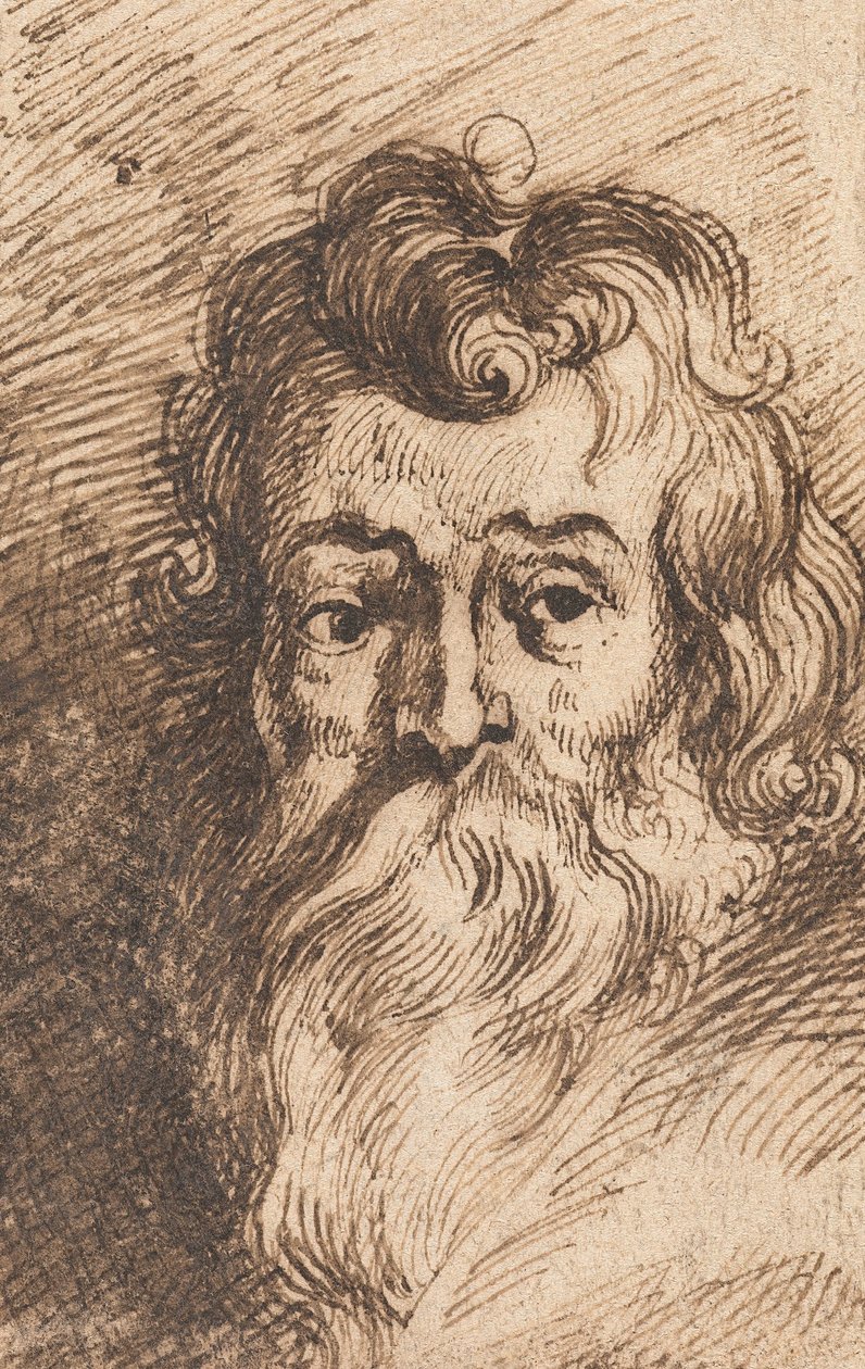 Hlava vousatého muže od Peter Paul Rubens