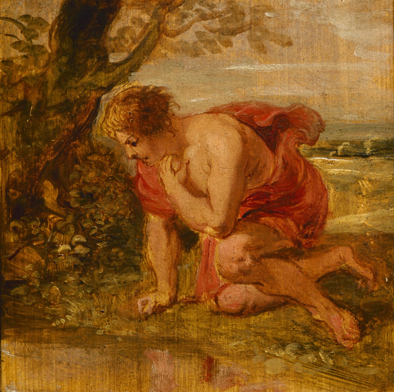 Narcis od Peter Paul Rubens