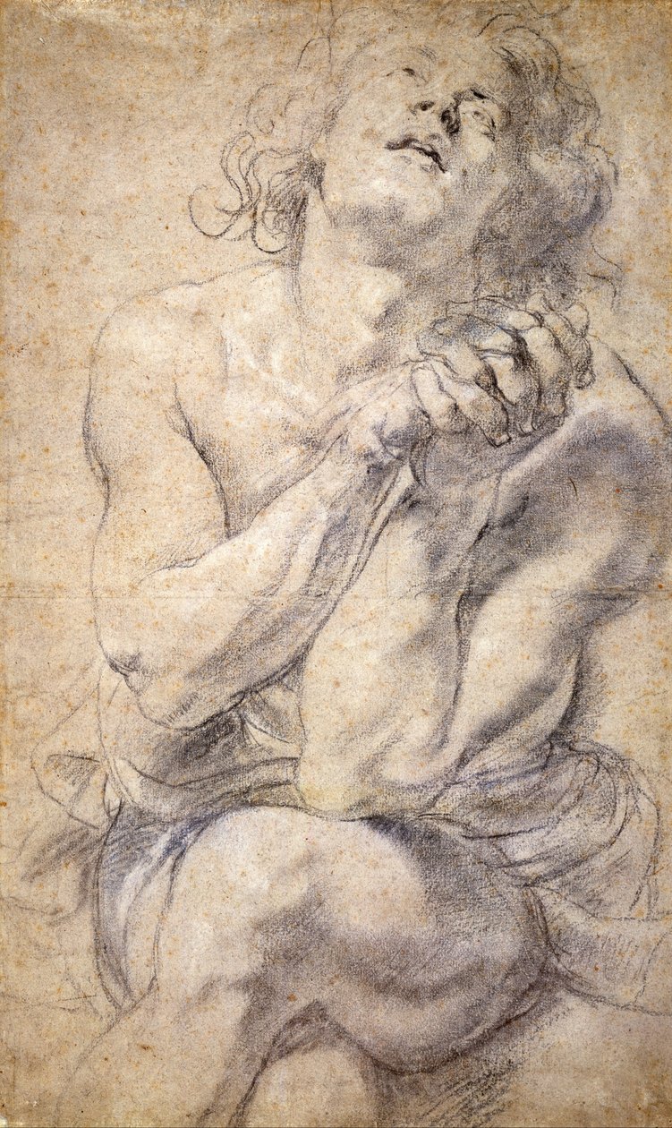 Sedící mužská mládež (studie pro Daniela) od Peter Paul Rubens