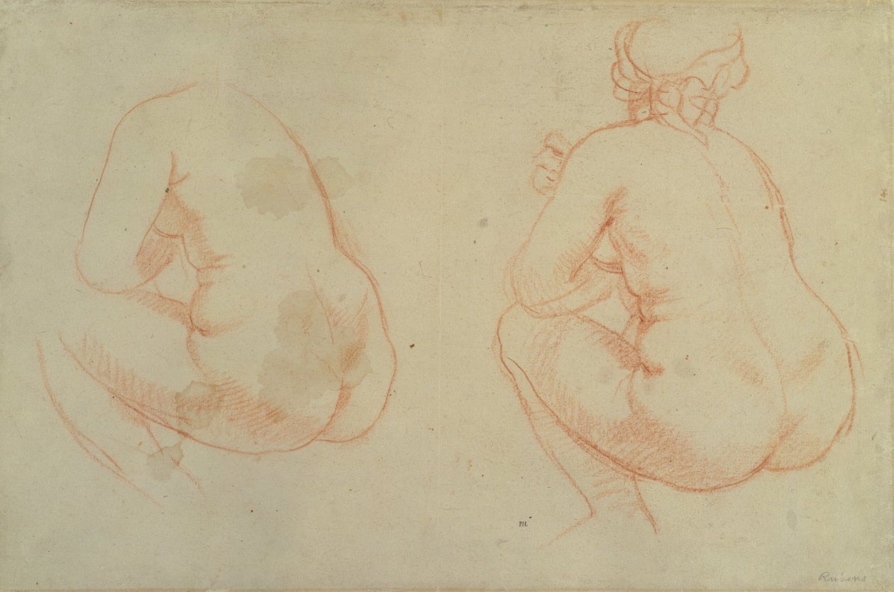 Studie ženských aktů od Peter Paul Rubens