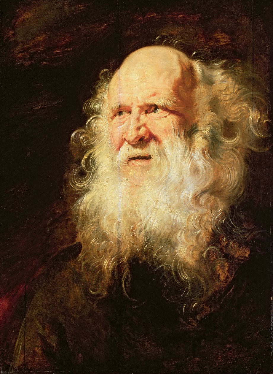 Studie o hlavách starého muže, c.1612 od Peter Paul Rubens