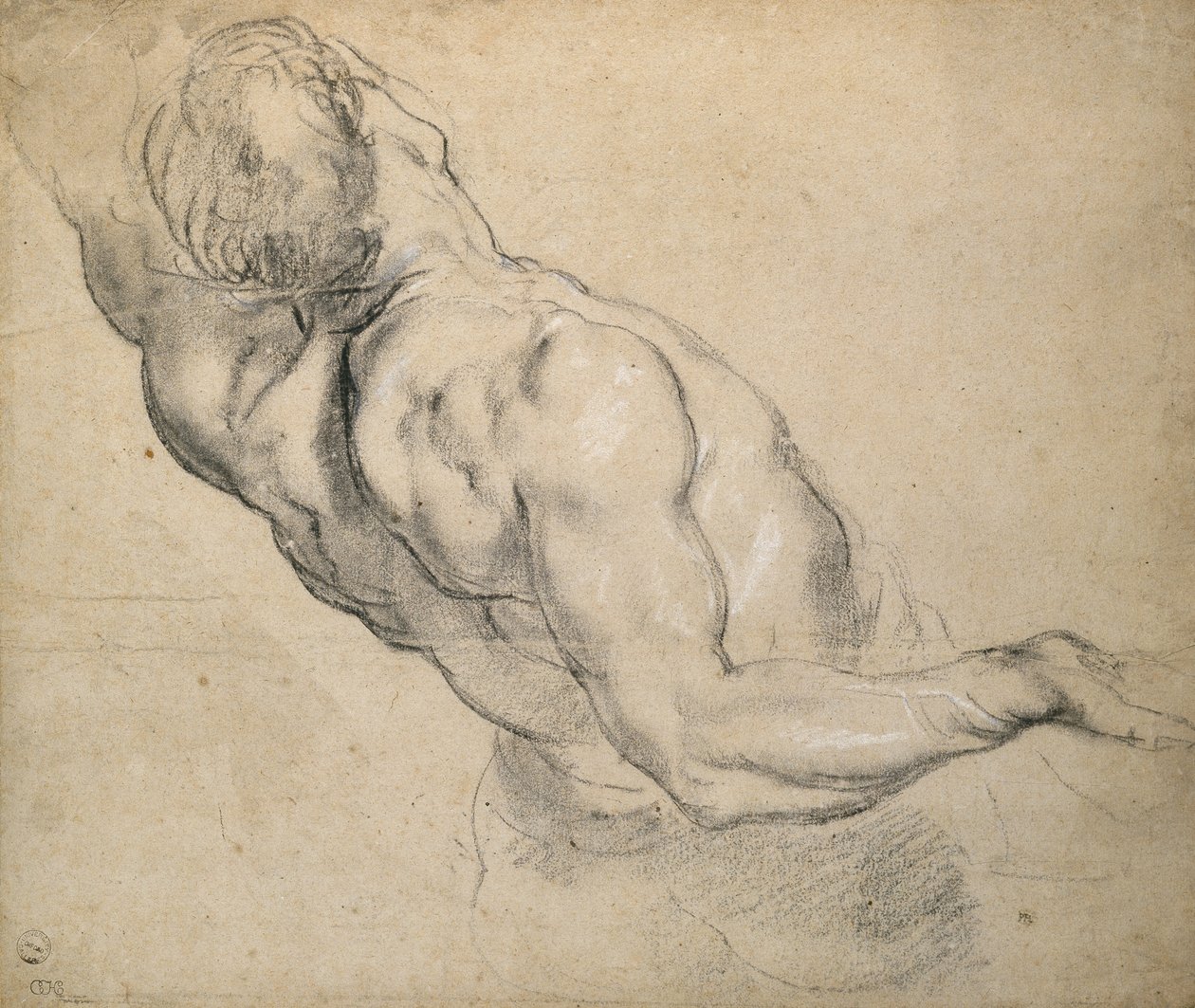 Studie torza nahého muže od Peter Paul Rubens