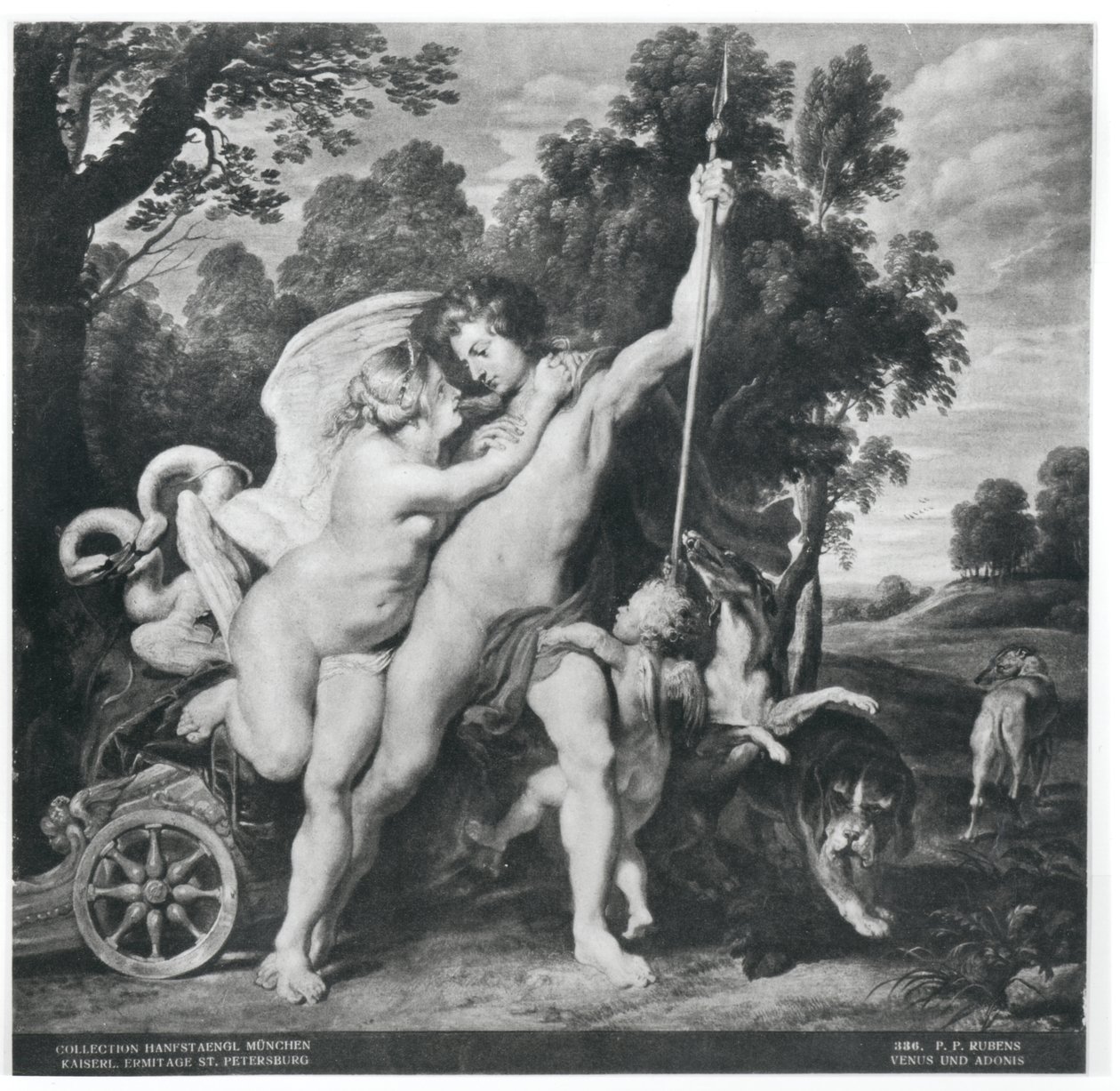 Venuše a Adonis od Peter Paul Rubens