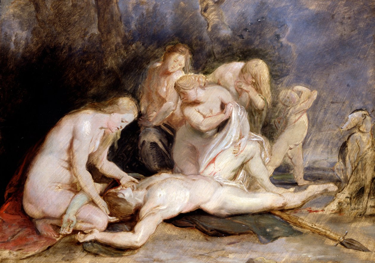 Venuše truchlící po Adonisovi od Peter Paul Rubens