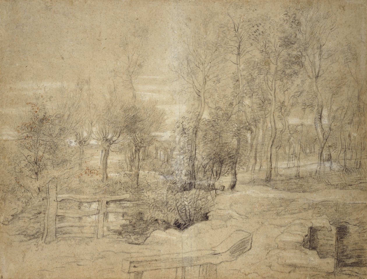 Woodland Scene (olejované dřevěné uhlí s červenými a bílými křídami na papíře barvy kamene) od Peter Paul Rubens