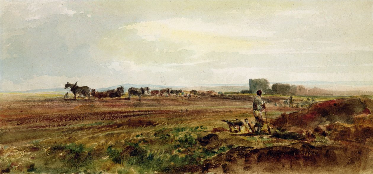 Orba vřesoviště, Lincolnshire (wc na papíře) od Peter de Wint