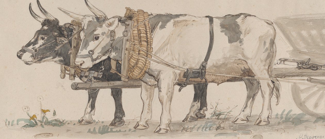 Dva voli táhnou povoz, 1874. od Peter Christian Thamsen Skovgaard