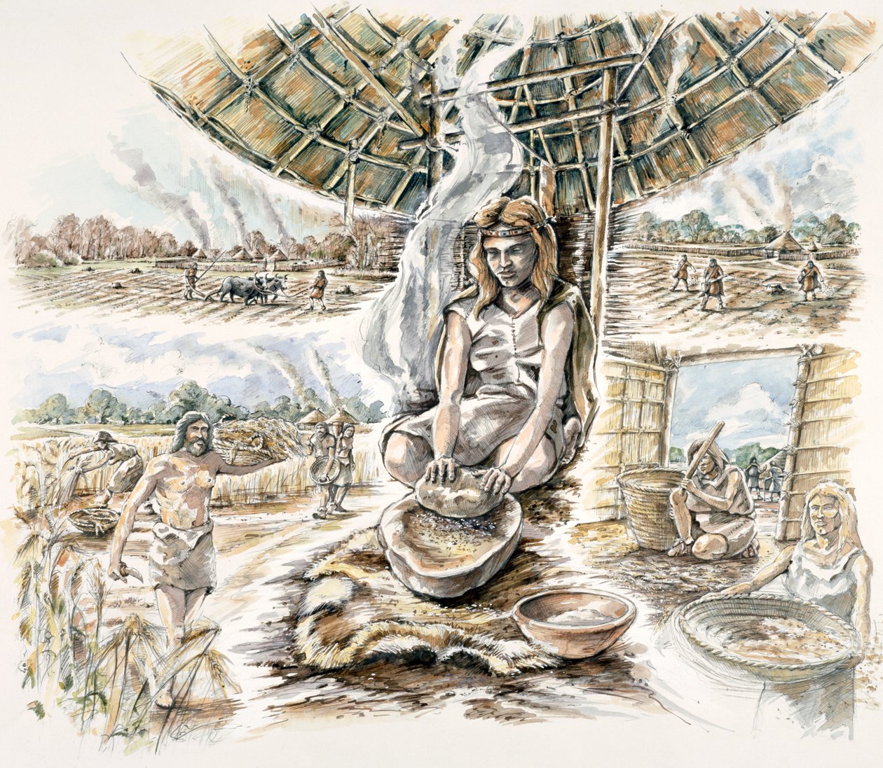 Neolitická obilná produkce, c1990-2010 od Peter Dunn