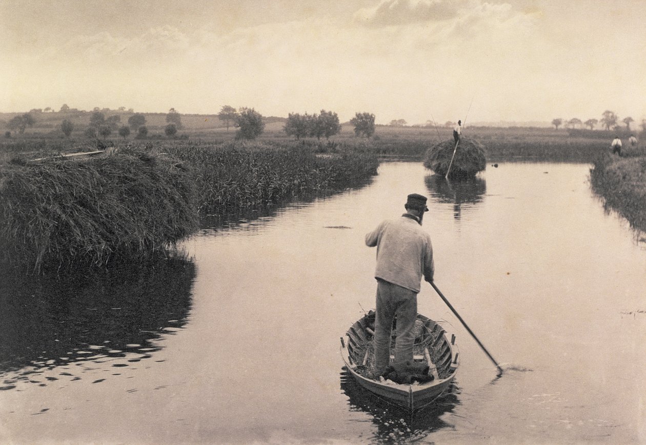 Čtvrcení Marsh Hay, Život a krajina na Norfolk Broads, c.1886 od Peter Emerson und Thomas Goodall