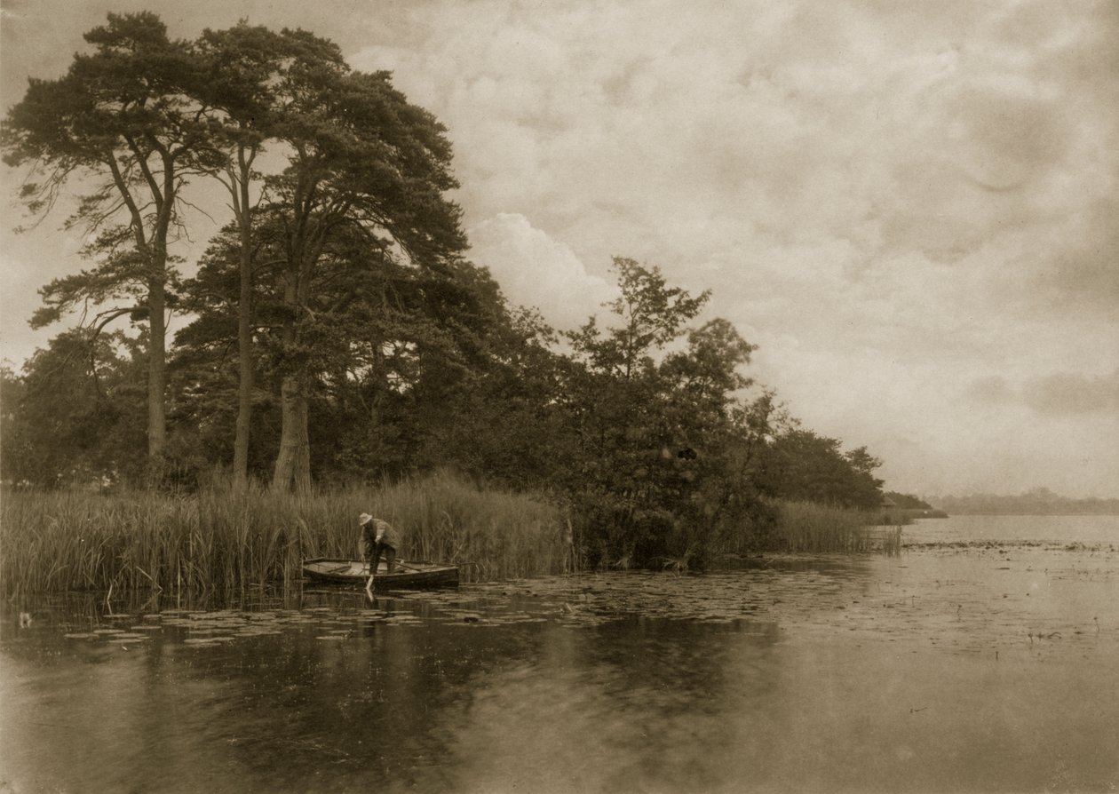 Haunt of the Pike, c.1886 od Peter Emerson und Thomas Goodall