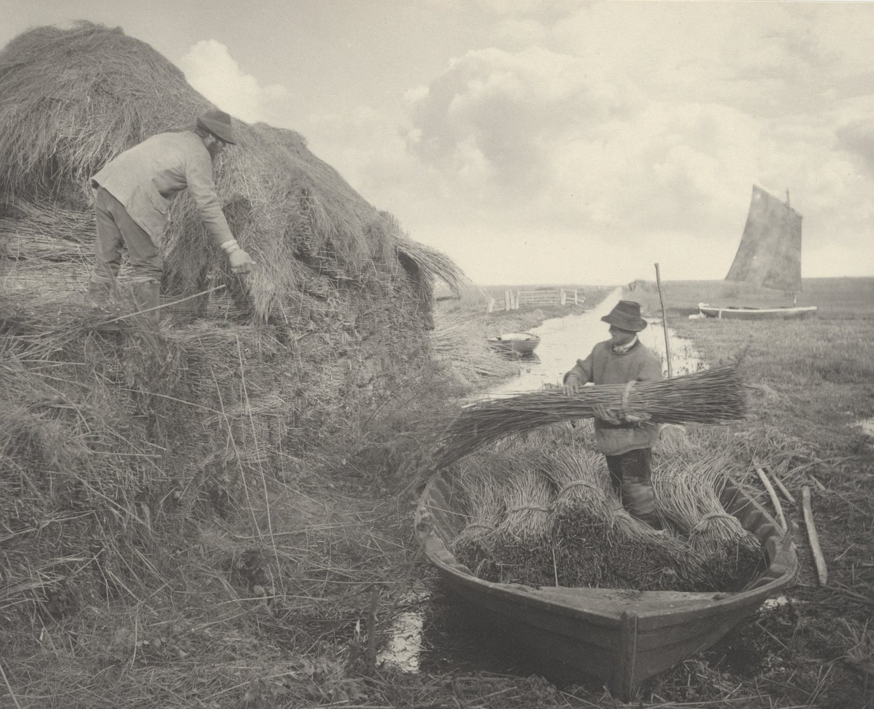 Ricking the Reed, 1886. Tvůrci: Dr. Peter Henry Emerson, Thomas Frederick Goodall. od Peter Henry Emerson, Thomas Frederick Goodall