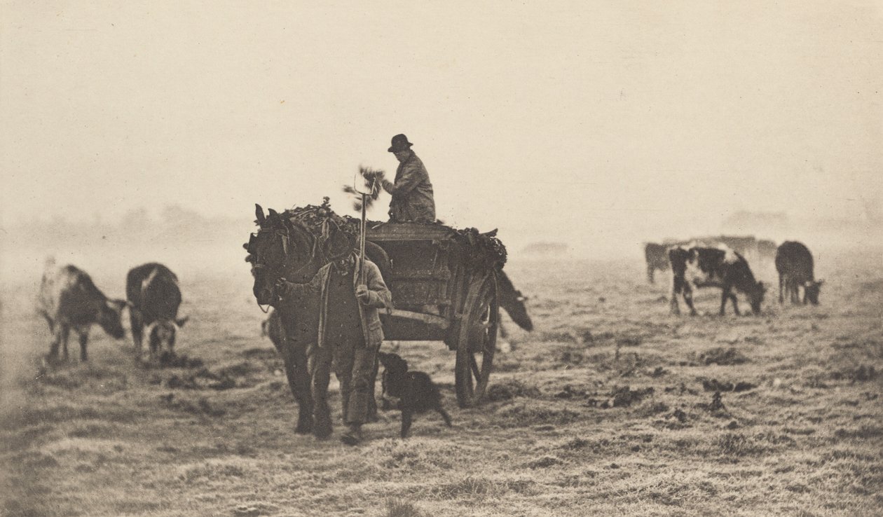 Mrazivé ráno, 1890-1891, vytištěno 1893. od Peter Henry Emerson