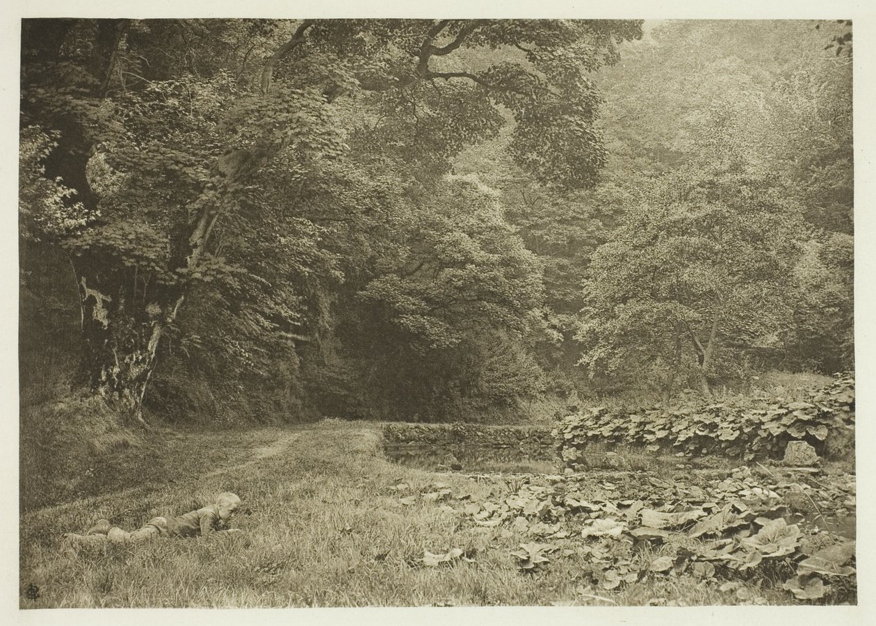 Tiché zákoutí v Beresford Dale od Peter Henry Emerson