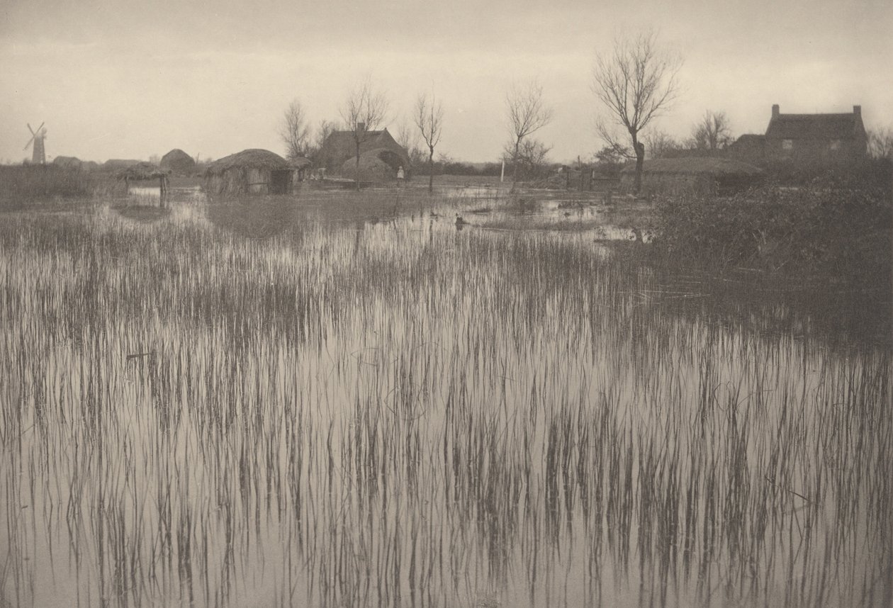 Ruský břeh,1886 (foto) od Peter Henry Emerson