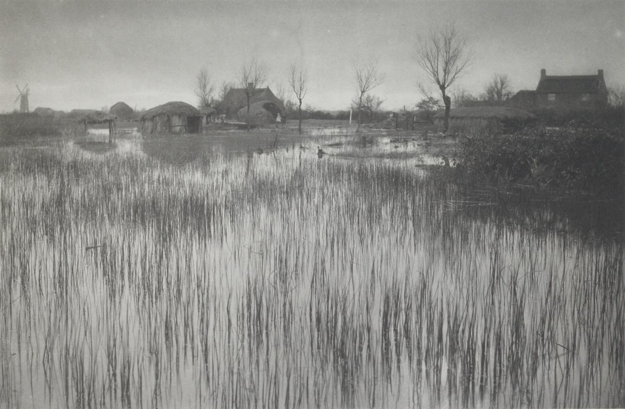 Rušný břeh od Peter Henry Emerson