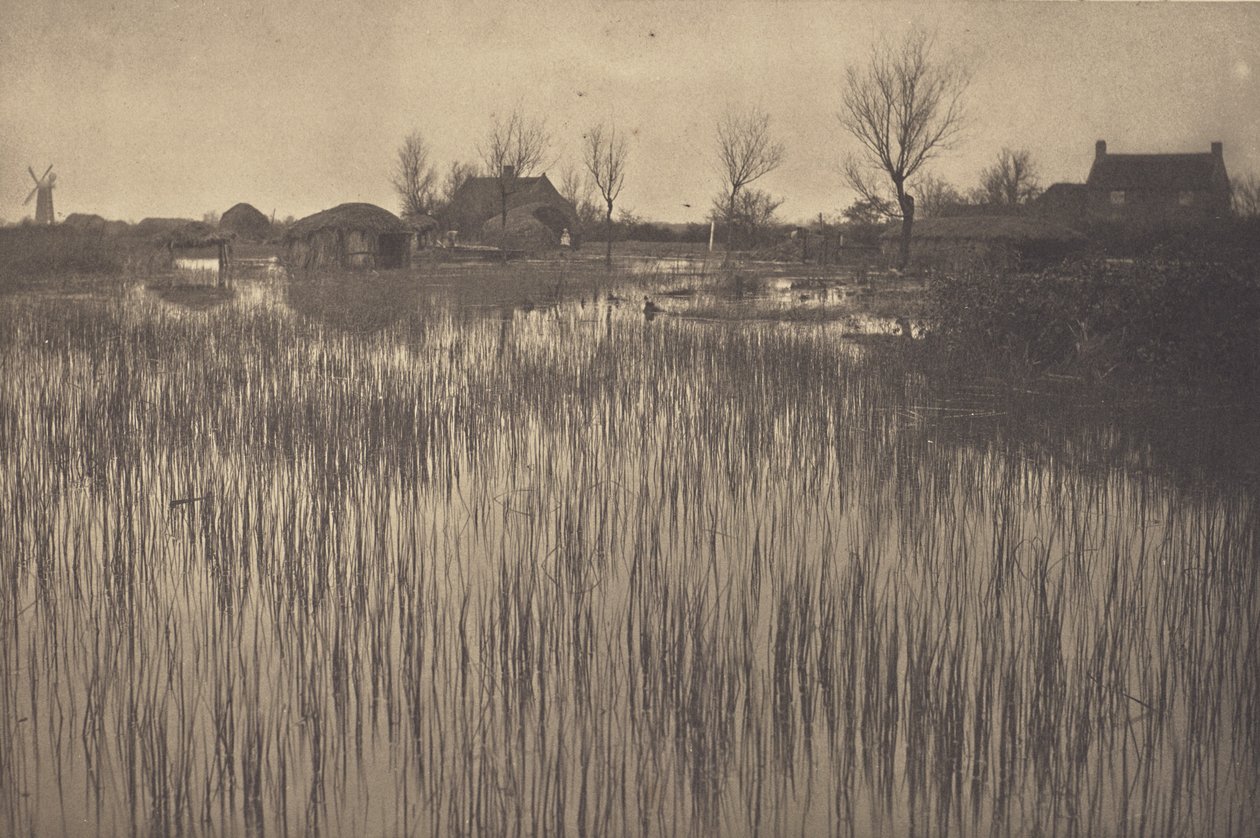 Rušný břeh od Peter Henry Emerson