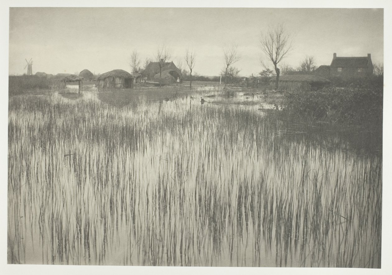 Rušný břeh od Peter Henry Emerson