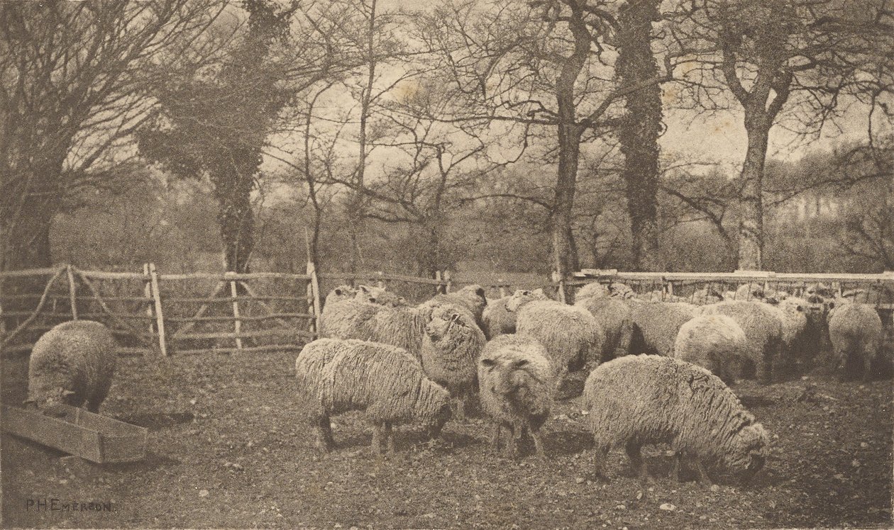 Podzimní pastorála od Peter Henry Emerson