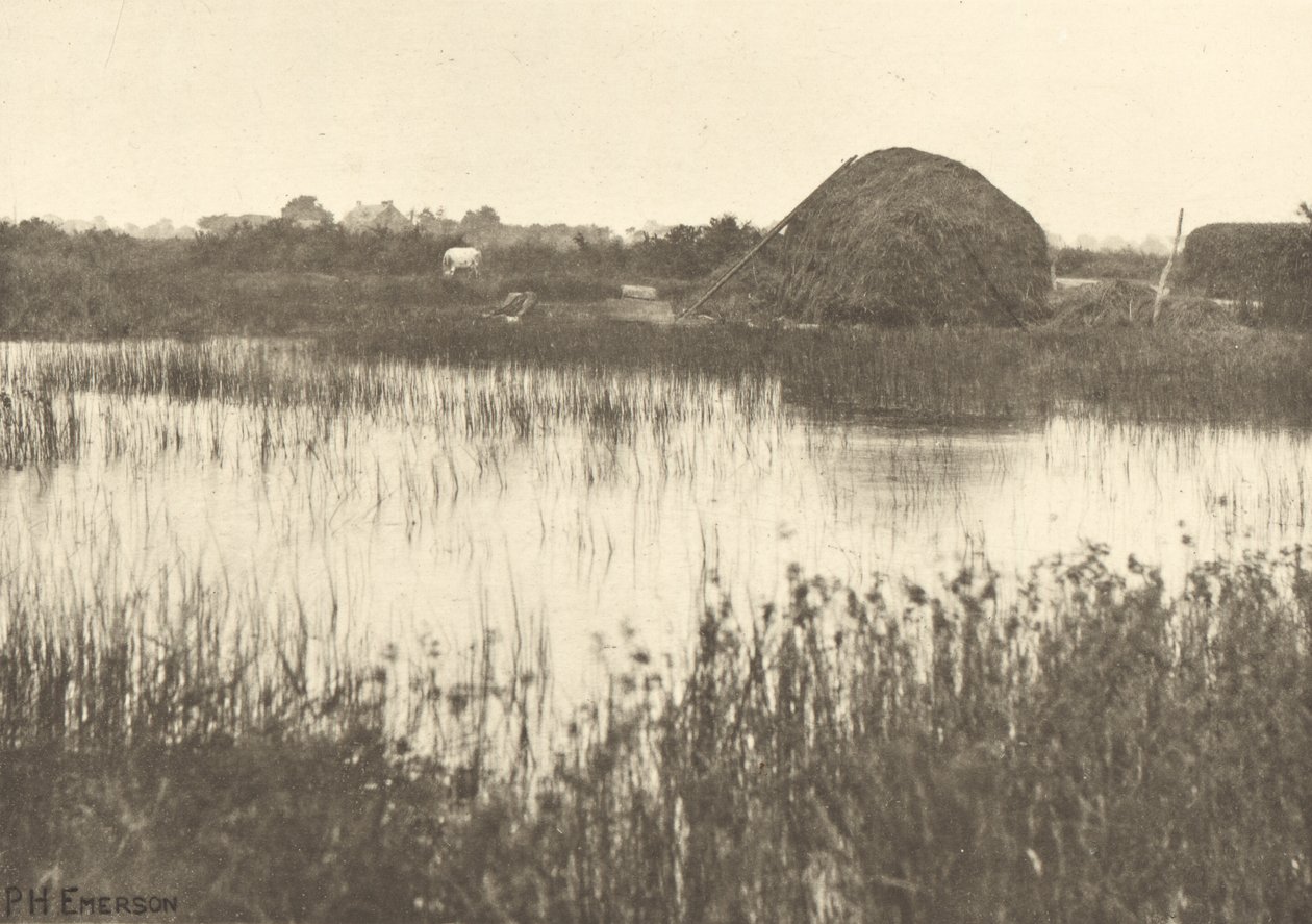 Podzimní povodně od Peter Henry Emerson