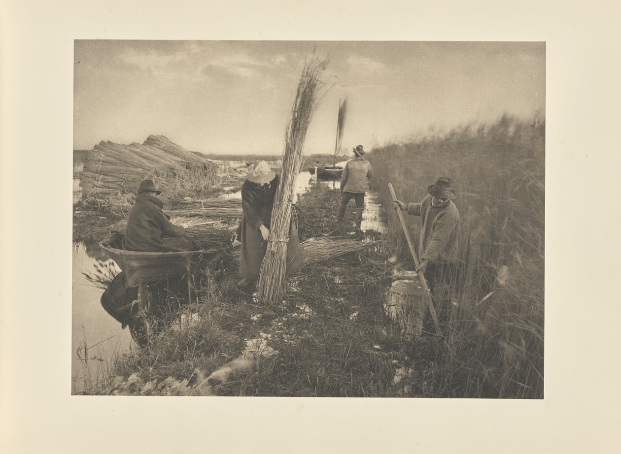 Během sklizně rákosu od Peter Henry Emerson