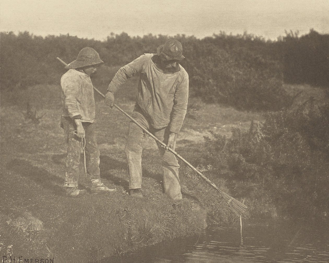 Úhoř  sběr ve vodách Suffolku od Peter Henry Emerson