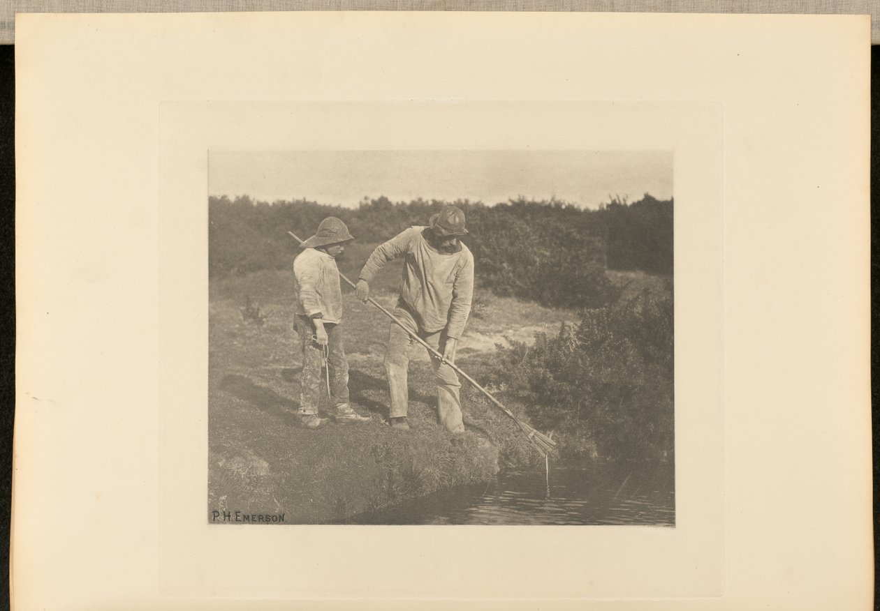 Úhoř  sběr ve vodách Suffolku od Peter Henry Emerson